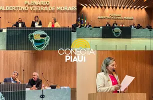 Vereadora Alessandra Lopes preside sessão e destaca força feminina no Legislativo (Foto: Assessoria)