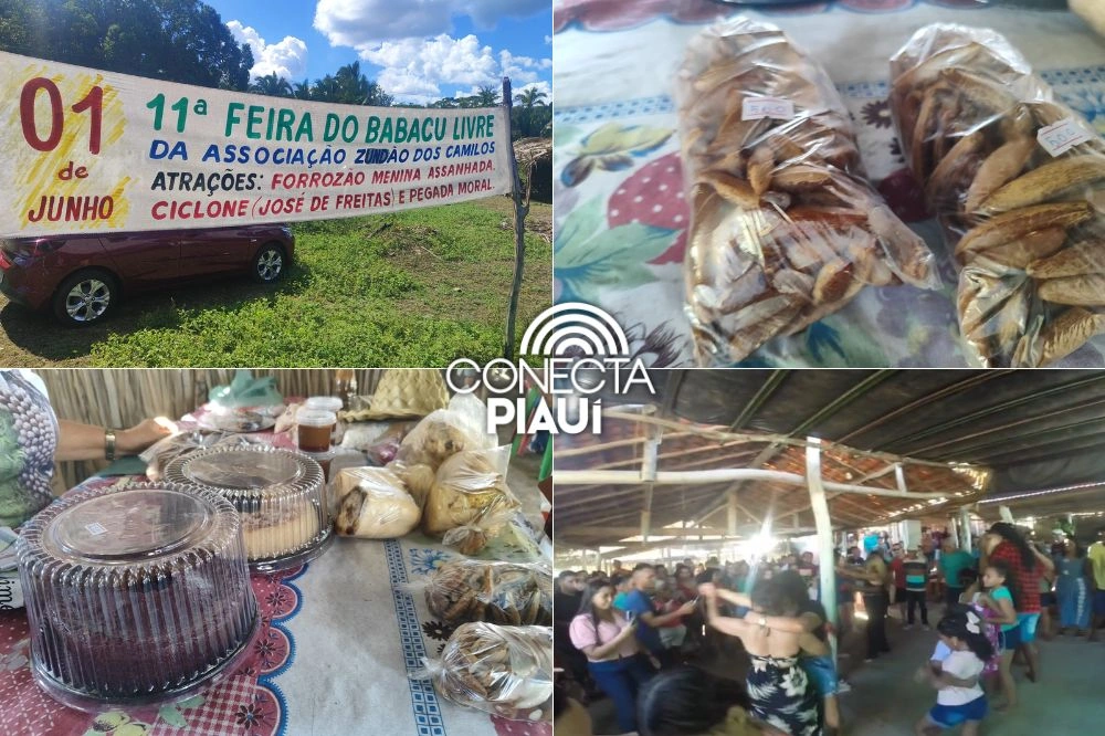 11ª Feira do Babaçu Livre valoriza cultura e sustento de comunidade em União