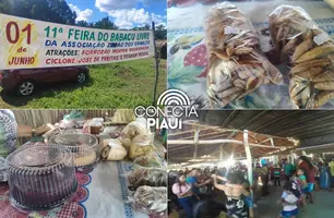 11ª Feira do Babaçu Livre valoriza cultura e sustento de comunidade em União (Foto: Repórter 12/Conecta Piauí)