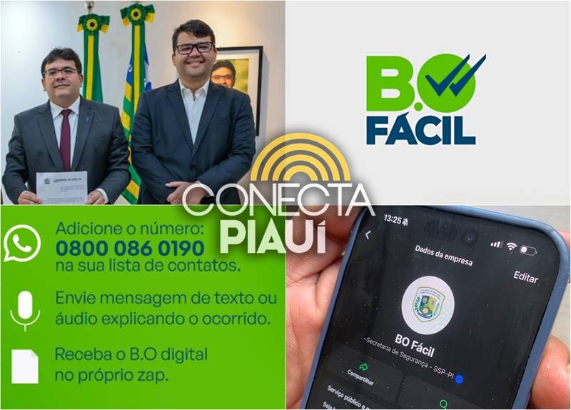 BO Fácil: Piauí é o primeiro estado do Brasil a ter boletim de ocorrência  no Whats | Conecta Piauí