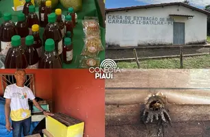 Com sabor e trabalho coletivo, mel do Piauí é um dos melhores do Brasil (Foto: James Rodrigues/Conecta Piauí)