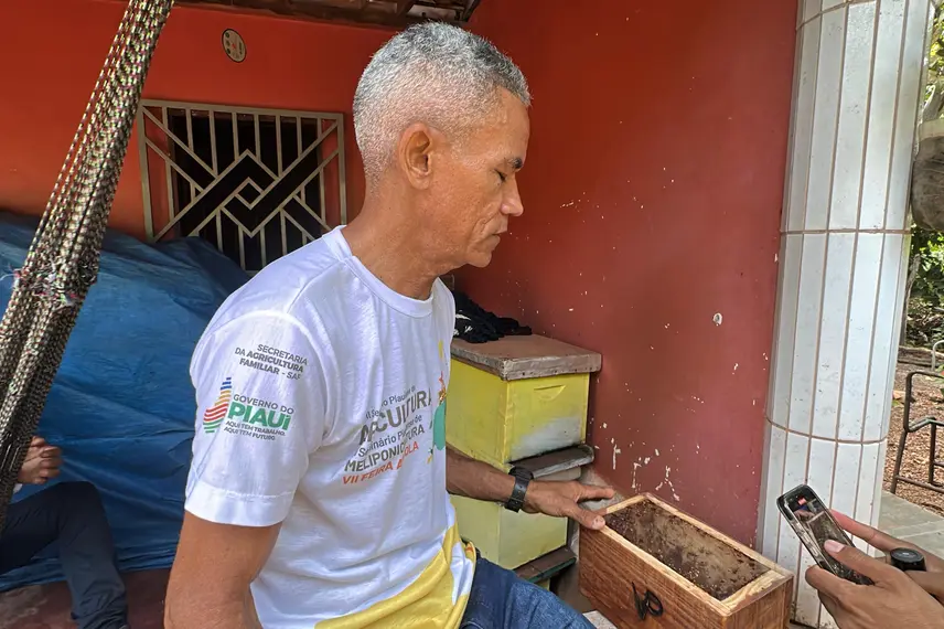 Com sabor e trabalho coletivo, mel do Piauí é um dos melhores do Brasil