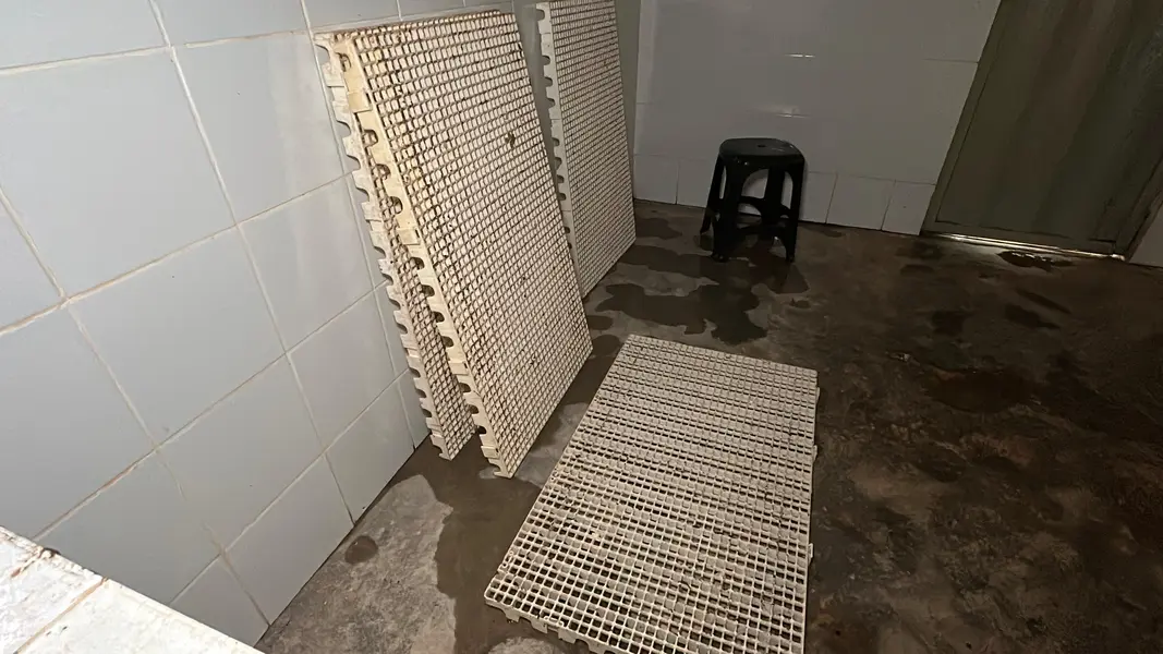 Com sabor e trabalho coletivo, mel do Piauí é um dos melhores do Brasil