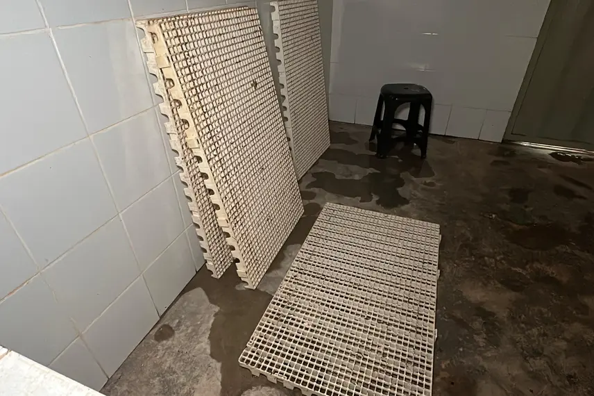 Com sabor e trabalho coletivo, mel do Piauí é um dos melhores do Brasil