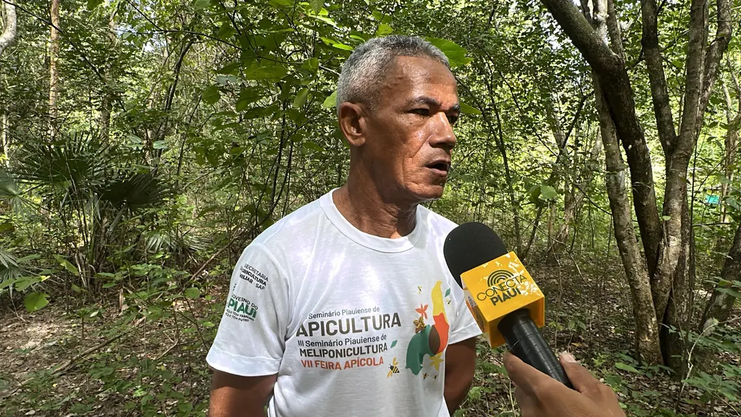 Com sabor e trabalho coletivo, mel do Piauí é um dos melhores do Brasil