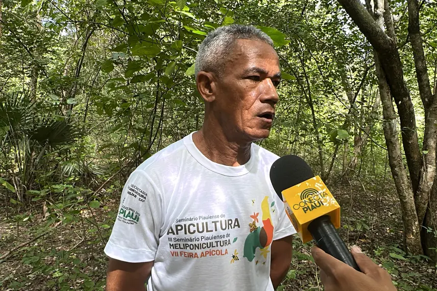 Com sabor e trabalho coletivo, mel do Piauí é um dos melhores do Brasil