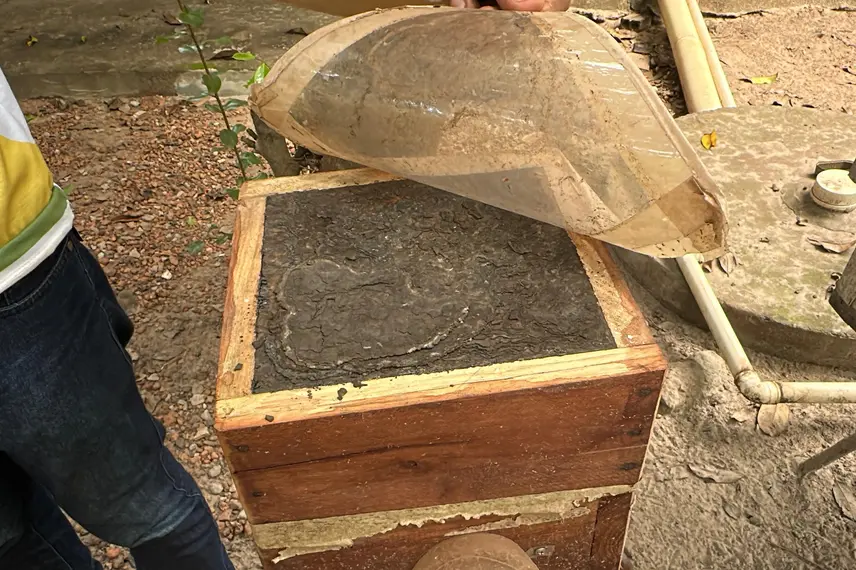 Com sabor e trabalho coletivo, mel do Piauí é um dos melhores do Brasil