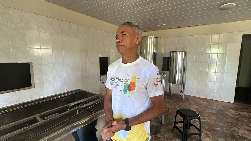 Com sabor e trabalho coletivo, mel do Piauí é um dos melhores do Brasil