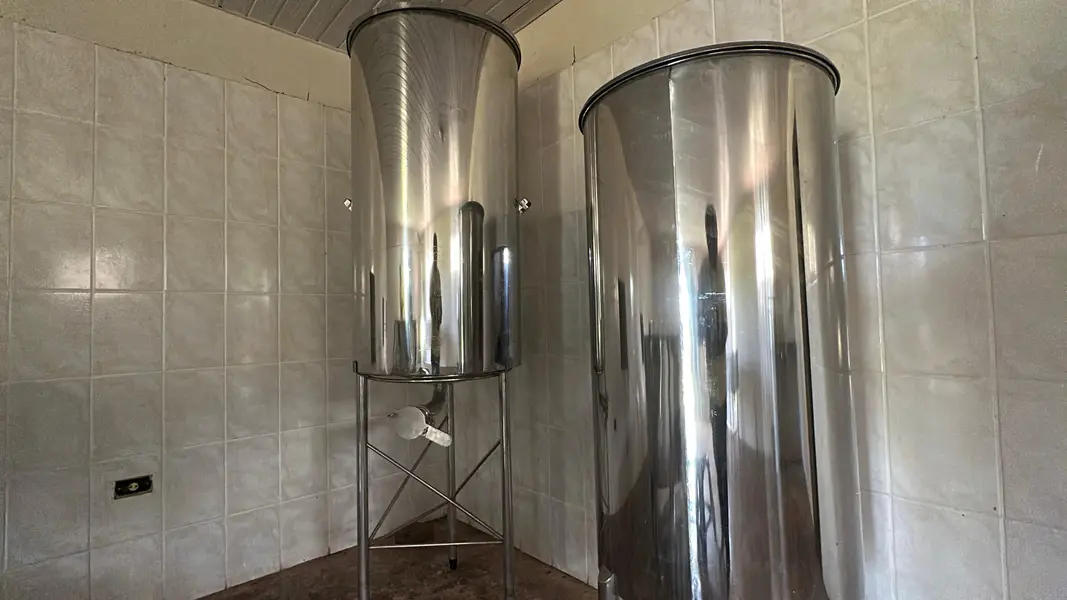 Com sabor e trabalho coletivo, mel do Piauí é um dos melhores do Brasil