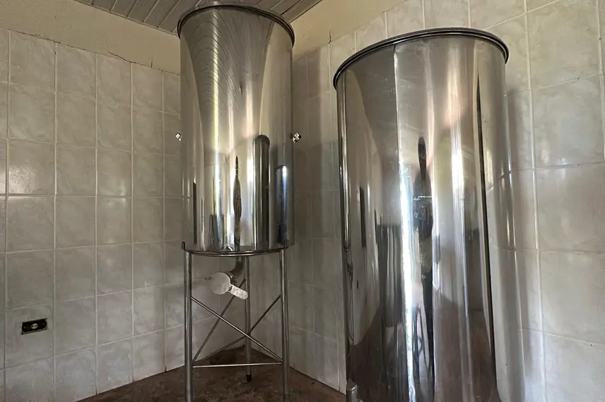 Com sabor e trabalho coletivo, mel do Piauí é um dos melhores do Brasil