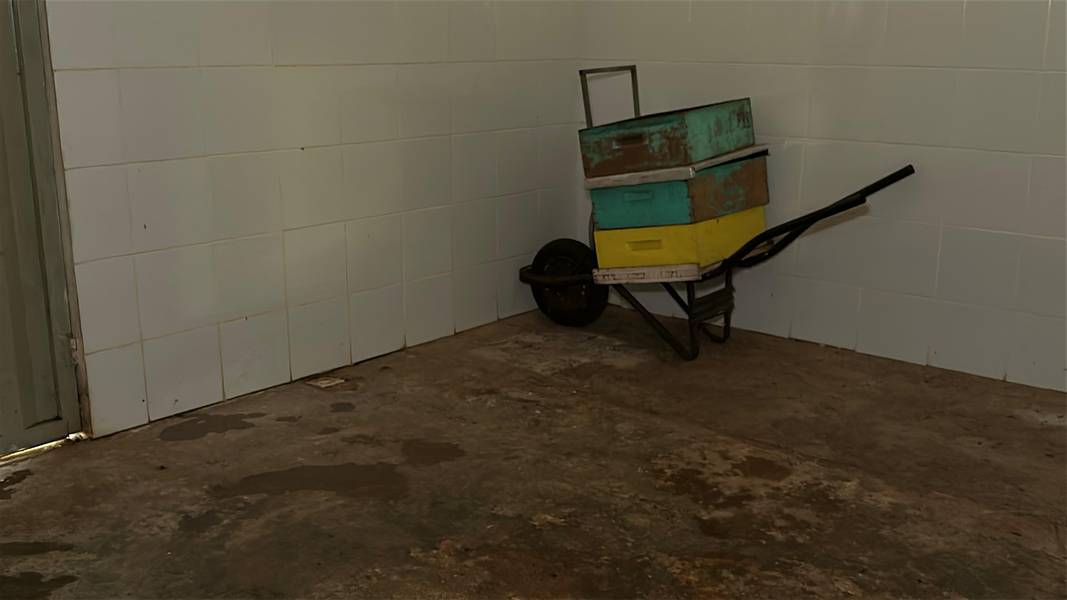 Com sabor e trabalho coletivo, mel do Piauí é um dos melhores do Brasil