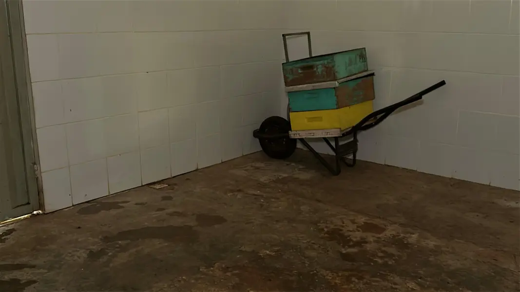 Com sabor e trabalho coletivo, mel do Piauí é um dos melhores do Brasil