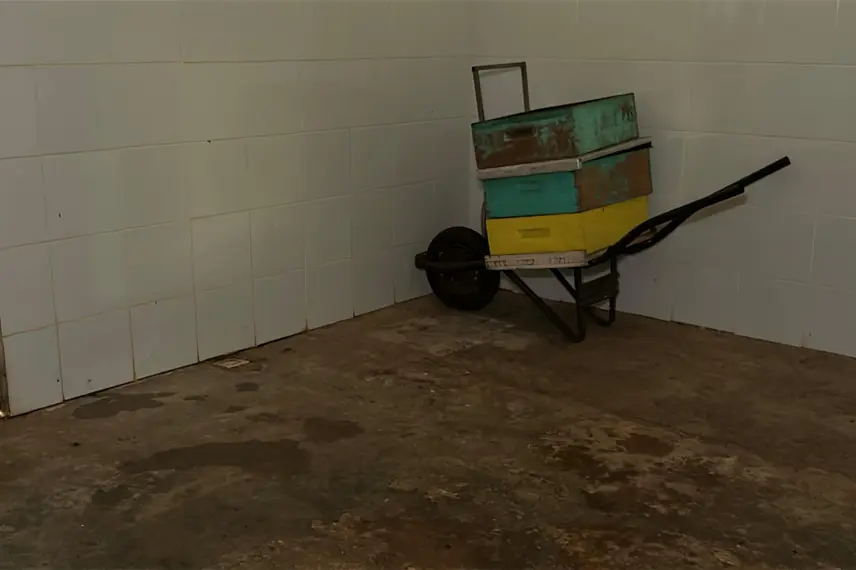 Com sabor e trabalho coletivo, mel do Piauí é um dos melhores do Brasil