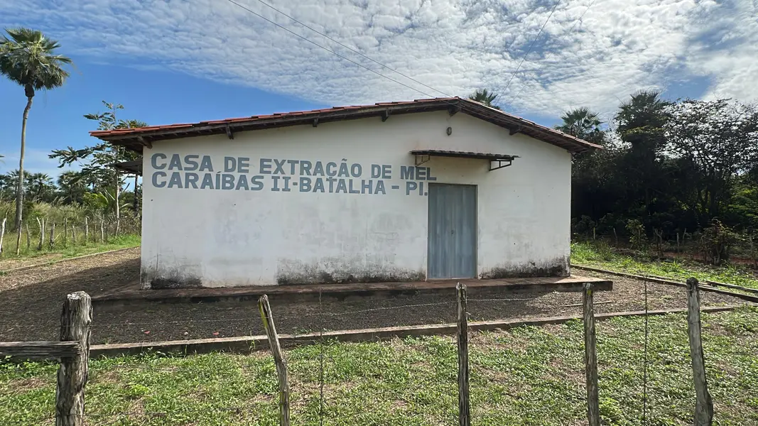 Com sabor e trabalho coletivo, mel do Piauí é um dos melhores do Brasil
