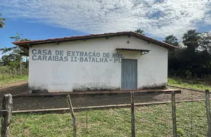 Com sabor e trabalho coletivo, mel do Piauí é um dos melhores do Brasil (Foto: James Rodrigues/Conecta Piauí)