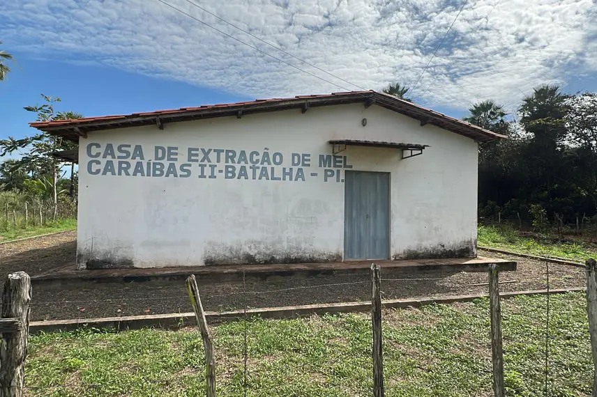 Com sabor e trabalho coletivo, mel do Piauí é um dos melhores do Brasil
