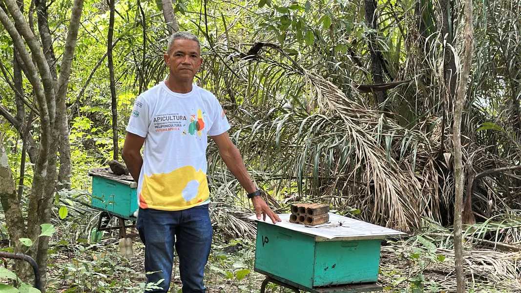Com sabor e trabalho coletivo, mel do Piauí é um dos melhores do Brasil