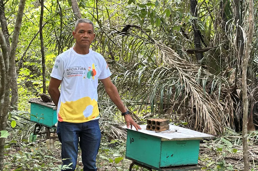 Com sabor e trabalho coletivo, mel do Piauí é um dos melhores do Brasil