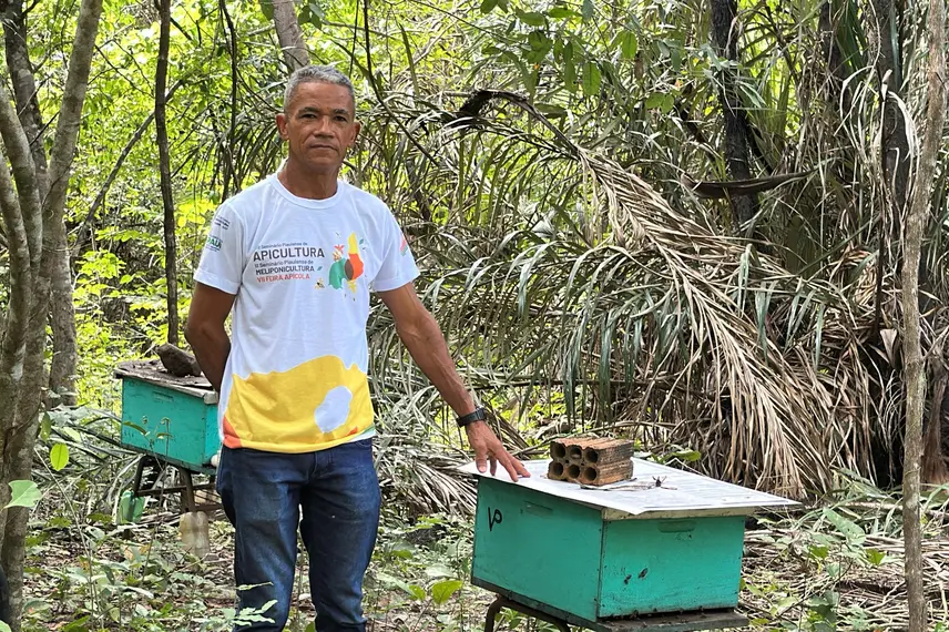 Com sabor e trabalho coletivo, mel do Piauí é um dos melhores do Brasil