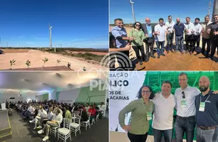 Complexo eólico Ventos de São Zacarias (Foto: Conecta Piauí)