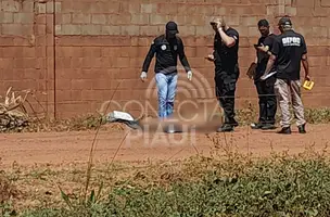 Corpo é encontrado às margens da BR-343 em Teresina (Foto: Conecta Piauí)
