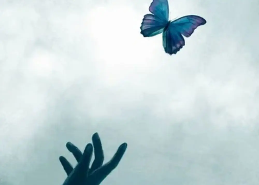 É Permitido Sentir (e Falar Sobre Isso)