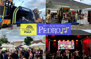 Festival de Inverno de Pedro II (Foto: Conecta Piauí)