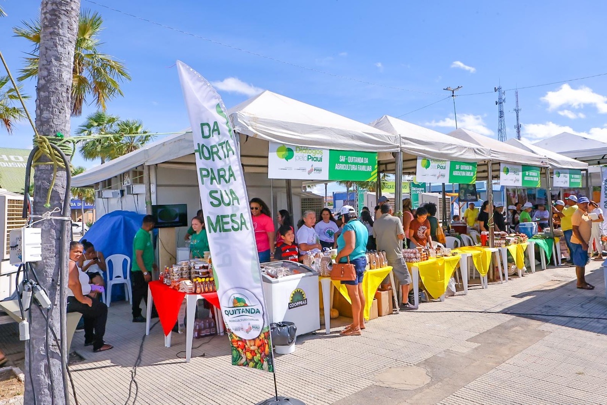 Governo tem investido na produção da agricultura familiar no Piauí