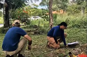 Grupo Arqueologia Brasil investiga vestígios da Batalha do Jenipapo (Foto: Reprodução-redes sociais)