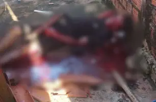 Homem é assassinado com golpes de facão, pedaços de pau e telhas em Miguel Alves (Foto: Reprodução)