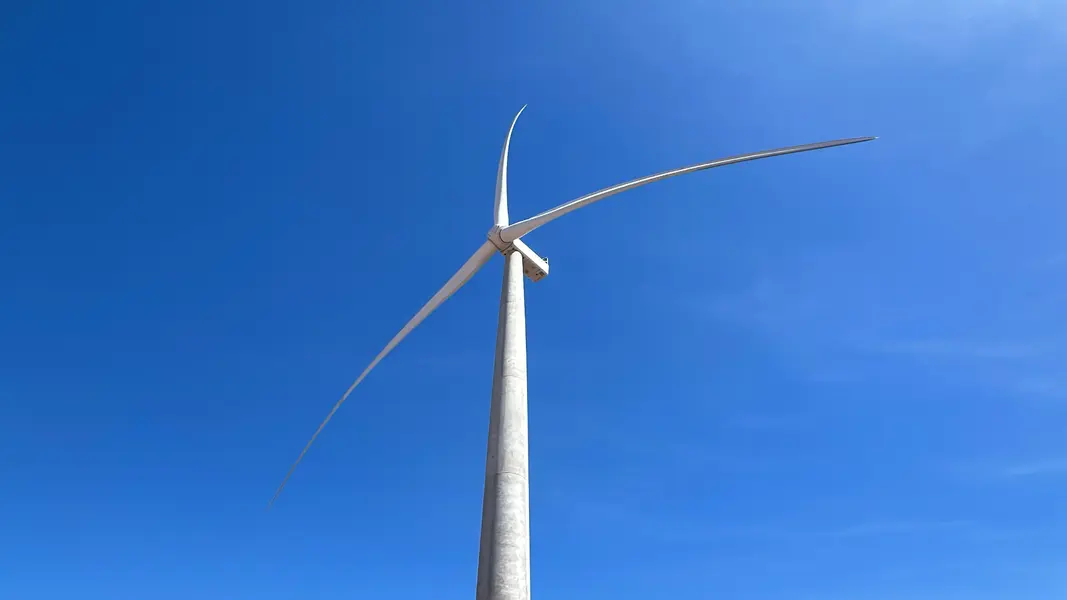 Inauguração do complexo eólico Ventos de São Zacarias