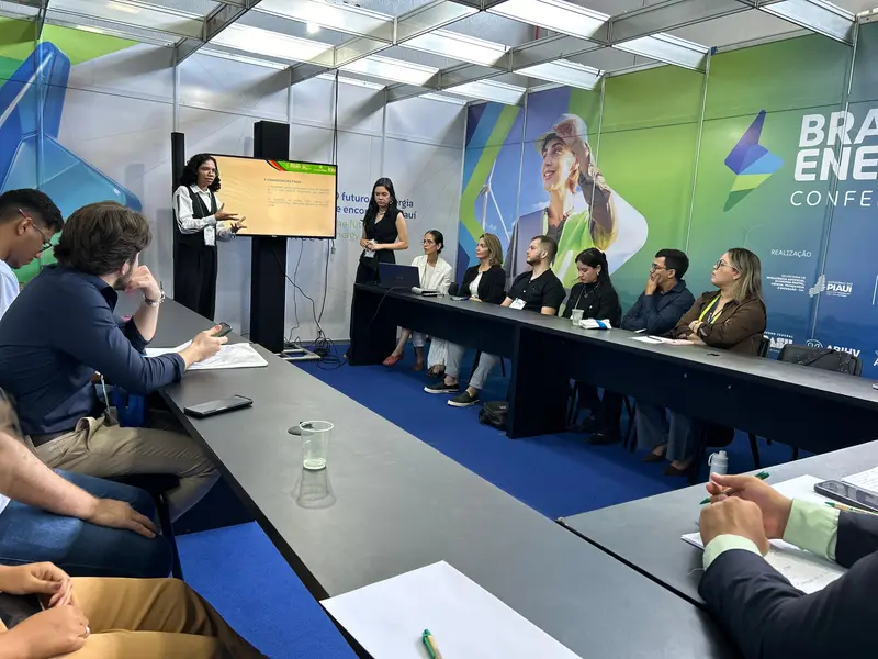 Laboratório do Brazil Energy constrói protocolo para impactos da geração elétrica