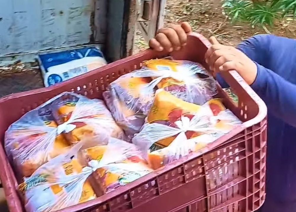 Merenda escolar de qualidade é prioridade na rede municipal de ensino de Porto