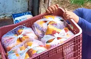 Merenda escolar de qualidade é prioridade na rede municipal de ensino de Porto (Foto: Reprodução)