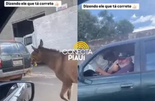 Motorista é flagrado arrastando jumento amarrado a carro em Teresina (Foto: Reprodução)