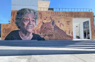 Niède Guidon ganha mural na Praça do Abrigo em São Raimundo Nonato (Foto: Reprodução)