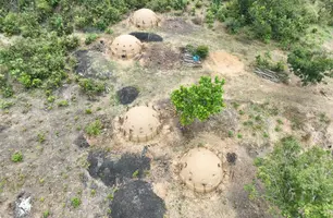 Operação desarticula mais de 30 fornos ilegais de carvão no Piauí (Foto: Reprodução)