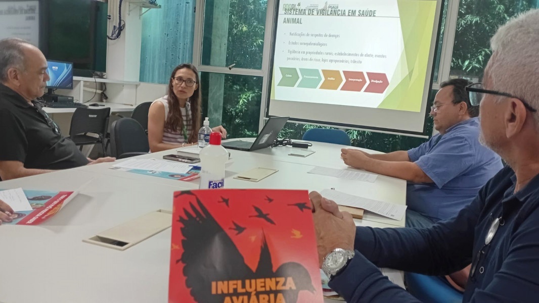 Órgãos alinham ações conjuntas de prevenção e controle da gripe aviária no Piauí