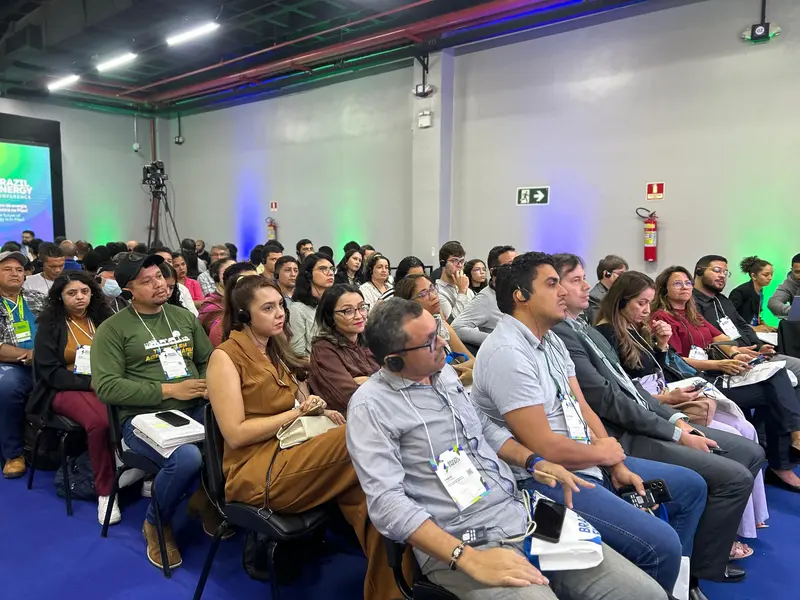 Painel 2: Indicadores de Impacto de Desenvolvimento