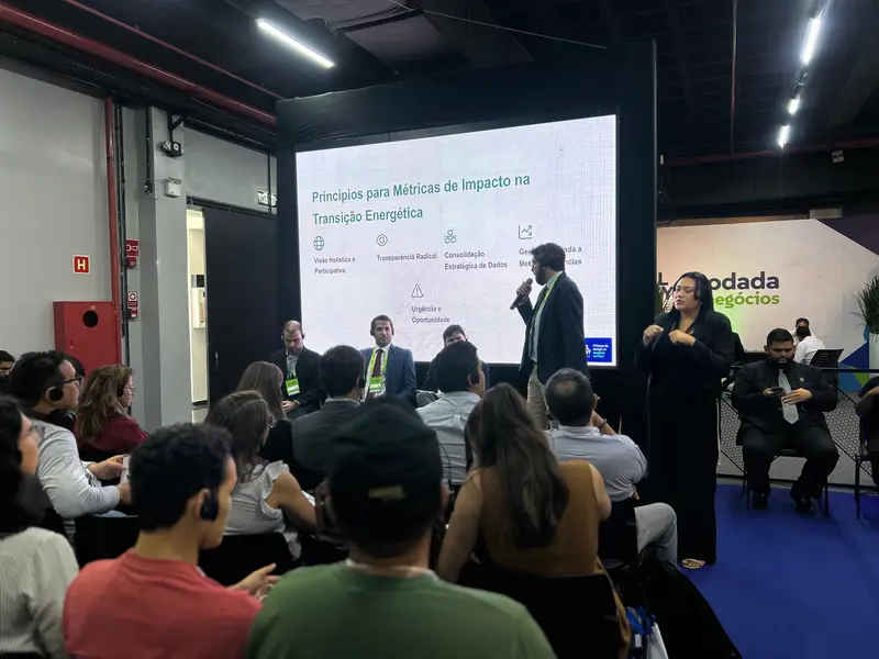 Painel 2: Indicadores de Impacto de Desenvolvimento