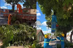 Palmeira do Piauí intensifica ações ambientais com poda e plantio de árvores (Foto: Reprodução)