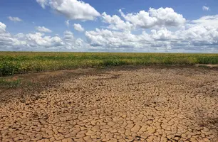 Piauí enfrenta a pior seca dos últimos 8 anos, alerta Monitor de Secas (Foto: Reprodução)