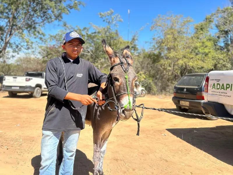 Ribeiro Gonçalves celebra tradição com corrida de prado e pista revitalizada