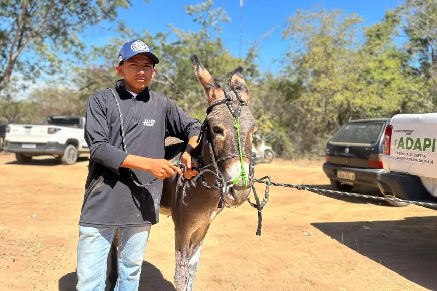Ribeiro Gonçalves celebra tradição com corrida de prado e pista revitalizada