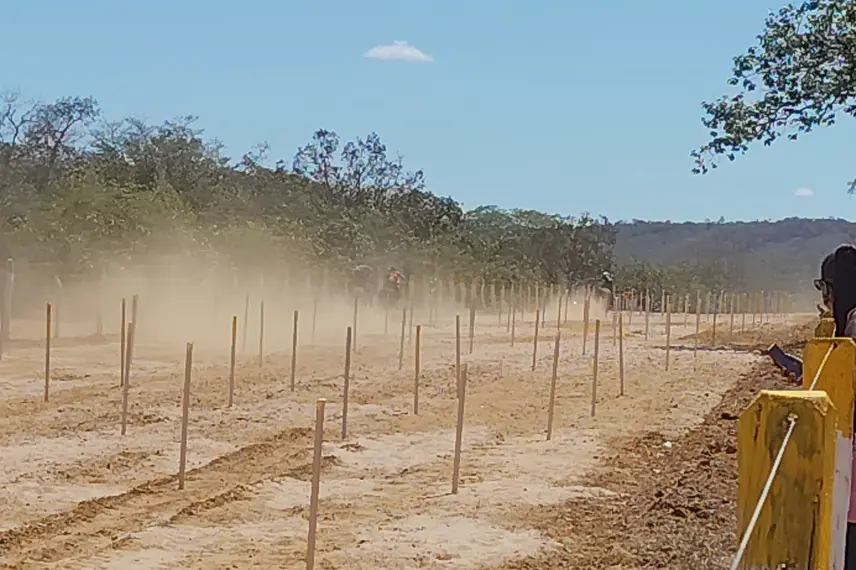 Ribeiro Gonçalves celebra tradição com corrida de prado e pista revitalizada