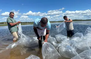 Semarh reforça preservação ambiental e impulsiona piscicultura em Joaquim Pires (Foto: Reprodução/Ascom Semarh)