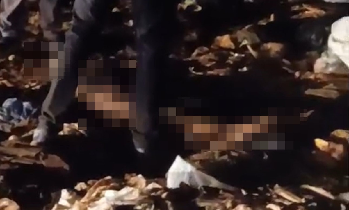 TCE-PI quer ações concretas após morte de criança em aterro sanitário de Teresina