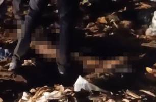 TCE-PI quer ações concretas após morte de criança em aterro sanitário de Teresina (Foto: Reprodução)