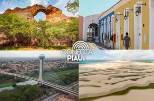 A participação do Turismo ne economia (Foto: Conecta Piauí) A participação do Turismo ne economia (Foto: Conecta Piauí)