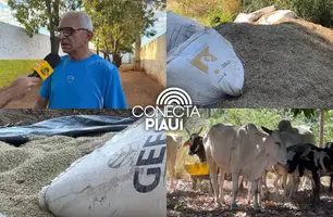 Agamenon Franco fortalece agricultura familiar em Ribeiro Gonçalves (Foto: Conecta Piauí)